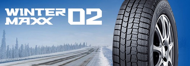 Dunlop Winter MAXX WM02 (1)